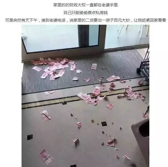震惊！二哈拆家拆出一袋百元大钞，没想到竟是……