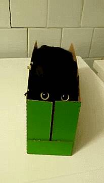 怕怕！这盒子成精了！！！