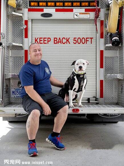 一只严重烧伤的狗狗最终成为一名“消防员”