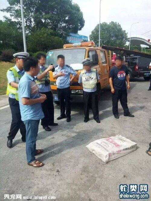 浙江一车乘客坐在28箱蛇上面竟浑然不知