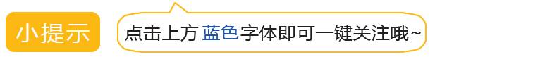 20年的做缸心得都给你了