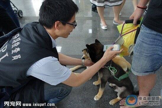 台北市动物保护自治条例 最高开罚1万