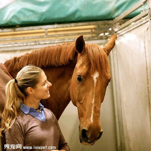 运动员退出里约奥运会，因为挽救她的马是更重要