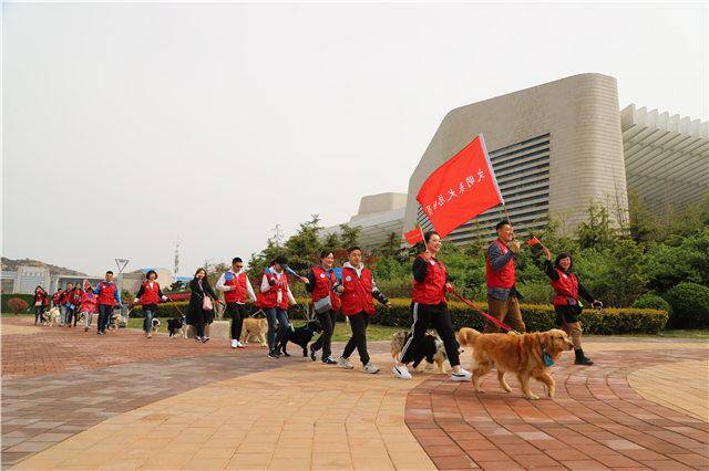 2019青岛宠物展狗狗游行活动旨在宣传文明养犬