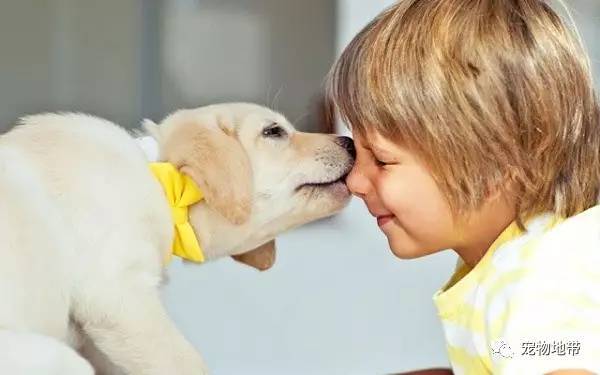 动物辅助治疗！自闭症少女寻觅4年，终于找到看护犬！
