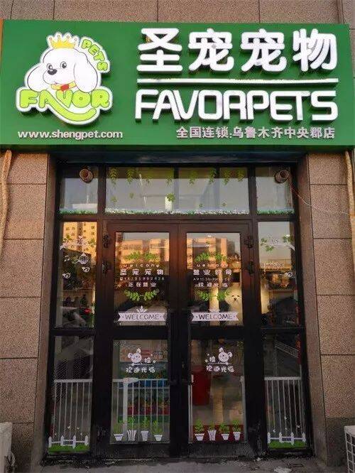 圣宠宠物乌鲁木齐中央郡商业小区店开业|免费礼品已备好，快带毛孩来耍！