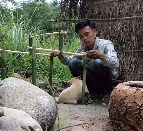 担心爱犬被晒网友给它搭了个窝，结果看到搭好的小窝后，笑喷了！