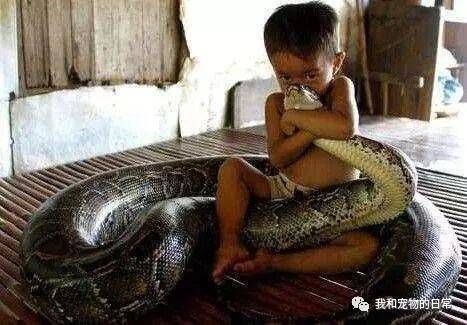 因为有这条蟒蛇的存在，村里的人都不敢接近这个小孩！