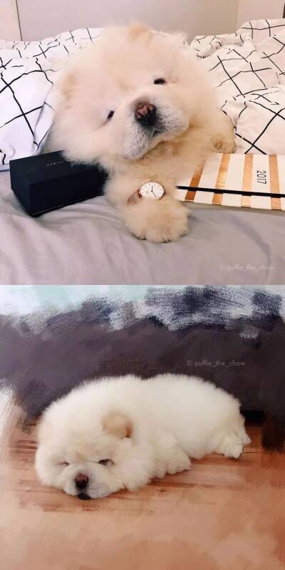 人家这才不是睡不醒……这是可爱你懂吗！