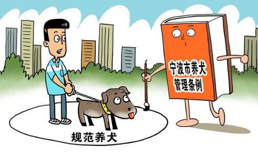 浙江宁波6月1日起“管好宠物狗”正式实施立法!