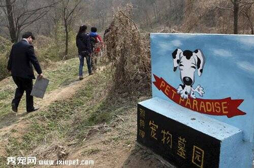 宠物殡葬业生意猛增 宠物墓地|葬礼价格明细