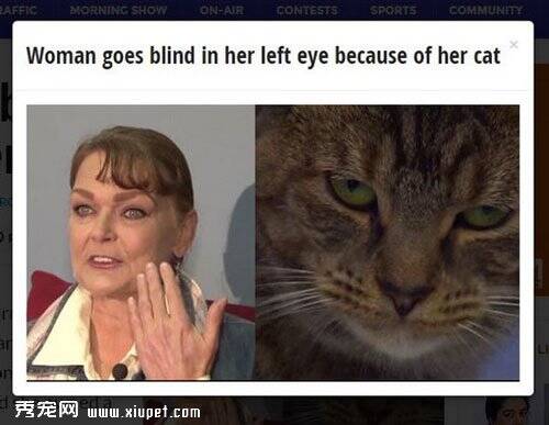 饲主醒来发现一只眼睛失明原因竟是被猫舔了一口