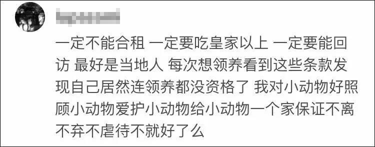 领养只猫还要压身份证？房产证？要求真多！