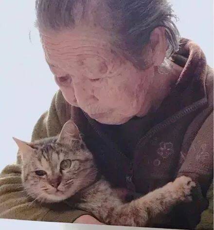 92岁老奶奶走红网络，因为她和她的猫…