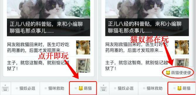 网友为了让猫能在猫砂里上厕所，铲屎官想了这么一招...