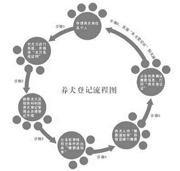 广州市养犬登记证办理流程