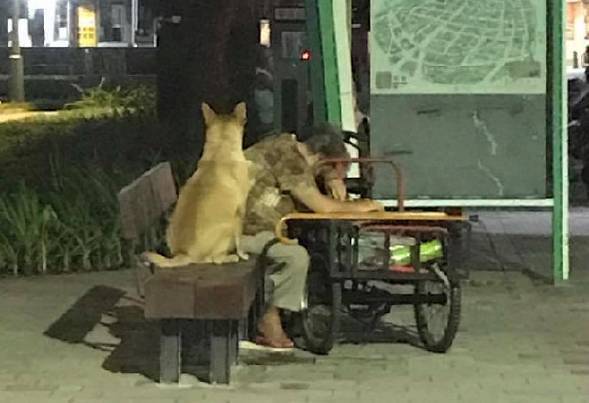 老奶奶走累了靠在椅子上休息，狗子则在一旁担忧的守着....