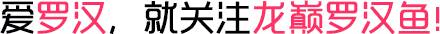 8招，让你轻松搞定养罗小问题！