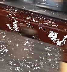 狗子咬了一个东西给主人，他看到后撒腿就跑，哈哈哈....