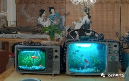 黑白电视机里养金鱼，小伙自制电视机鱼缸被点赞