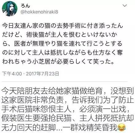 原来带猫去绝育，要这样做，它才不会恨你...