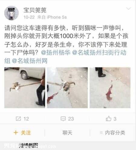 路边撞死猫咪逃逸者算不算交通肇事？