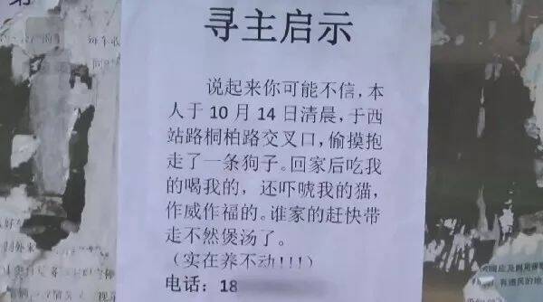 捡到一只狗，结果它吃我的喝我的，还吓唬我家猫“再不领走，我煲汤啦”