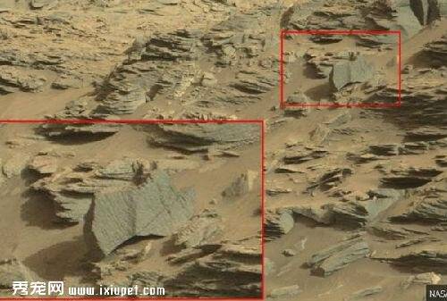 NASA火星照片现“蝎子” 专家称火星有生命