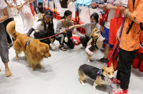 广西宠物博览会6月18日在广西科技馆圆满落幕