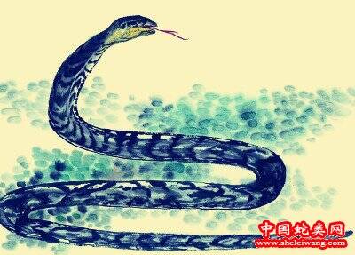蛇最早记载于哪部中国古籍?生肖蛇的特点是什么？