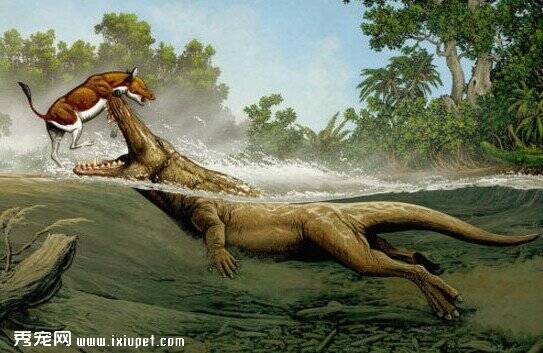 比恐龙更恐怖的动物你知道吗？