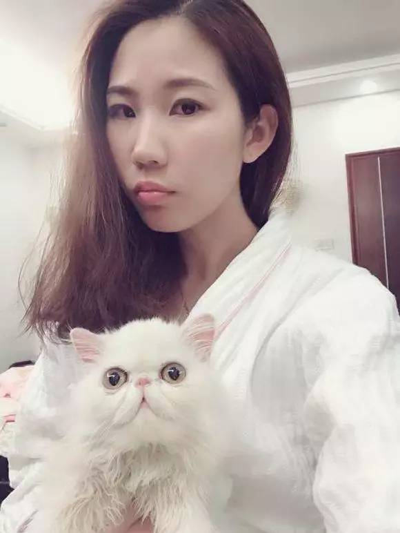 妹子32000元买一只波斯猫，网友直呼这颜值很不值得