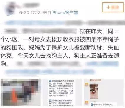 母女被四恶犬围攻，母亲被咬失血至休克