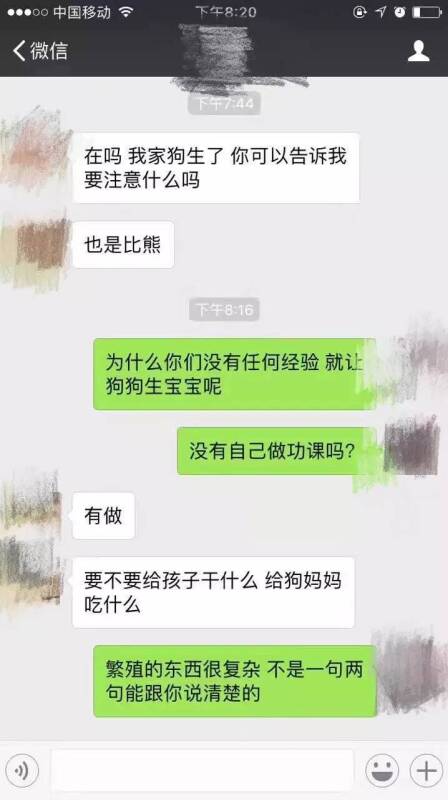 宠物家庭繁殖，你真的够资格吗？