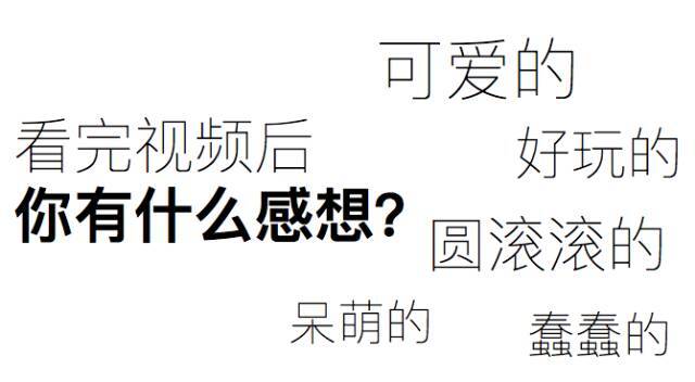 你家狗子胖成球？可爱的很？可下一刻你就该哭了...