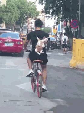 看见小哥哥的背包以为是什么狗的背包，靠近一看立马笑出声：这也太可爱了吧！