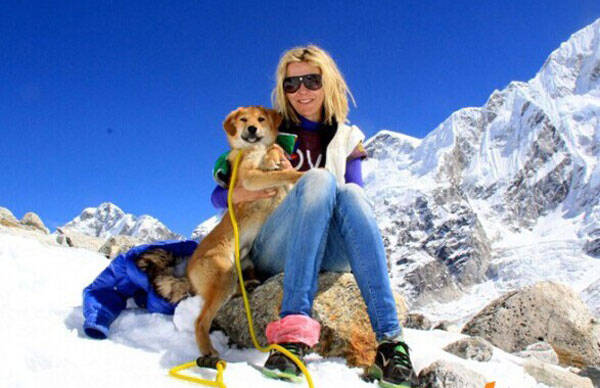 流浪狗成首只登上世界第一高峰的狗狗