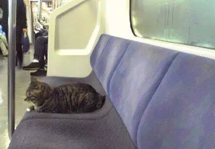 如果在地铁上遇到这些乘客，我一定会做过站的...