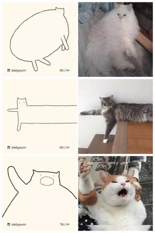 传说中的灵魂画手，如果看不懂，那就是你不懂猫！