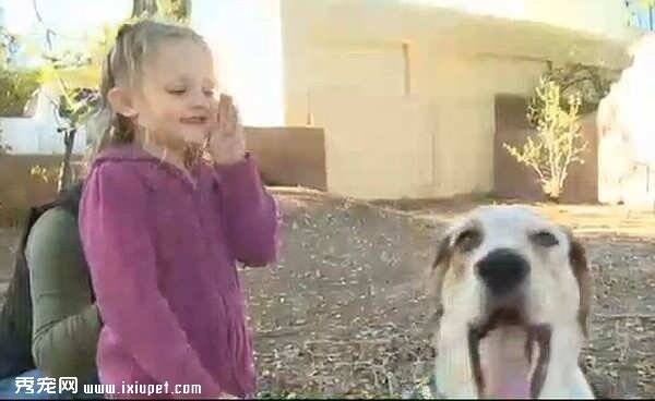 四岁聋哑女孩懂得用手语和家中狗狗沟通