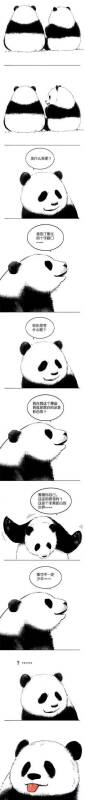 两只滚滚关于熊生的一些思考