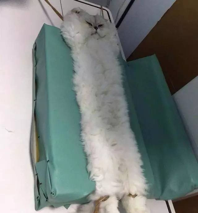 给你说朕是液体做的你还不信，不信你看呀~
