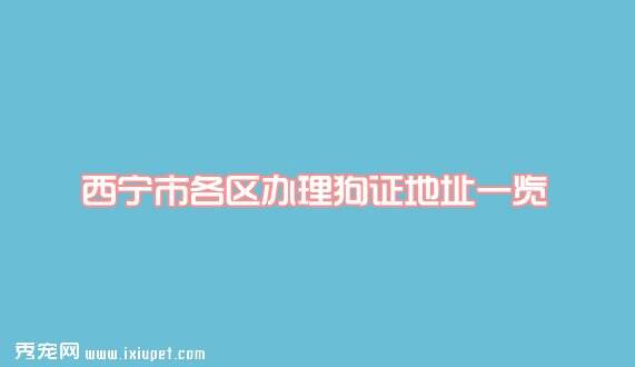 西宁市各区办理狗证地址一览
