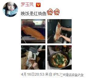 罗玉凤用龙鱼做红烧鱼当晚饭，网友表示：太！奢！侈！