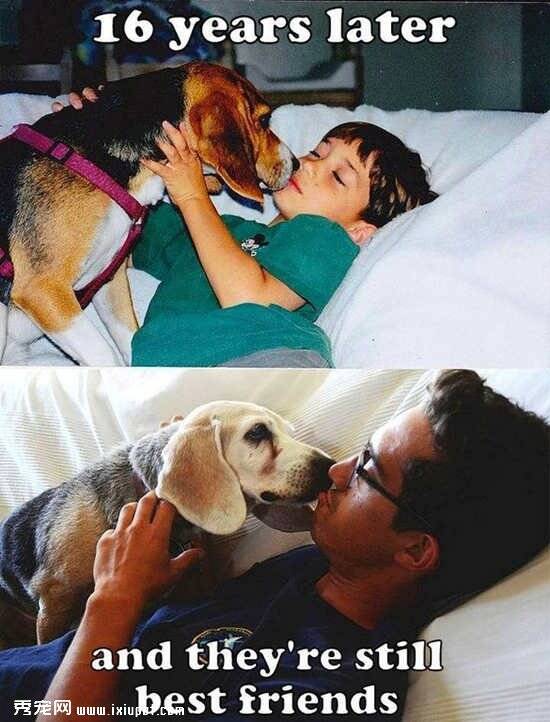 狗狗与主人相伴16年前后对比照