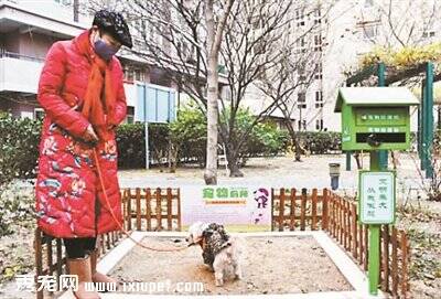 为倡导文明养犬，北京部分地区建起了宠物公厕