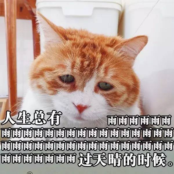 不要灰心！生活还是有希望的！毕竟……