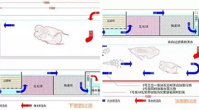 养好鱼，怎么可以少了过滤！