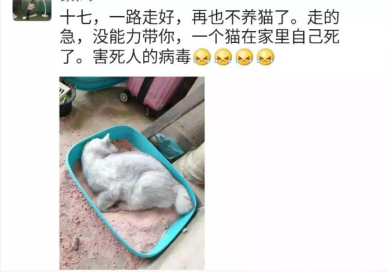 致宠物医院的一封信:不捐钱，捐点力