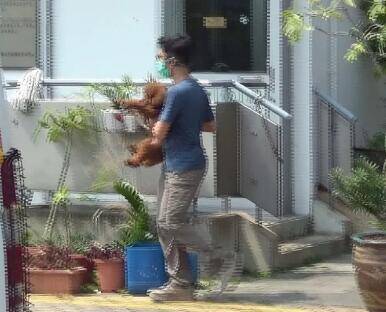 香港一对夫妻疑弃养宠物又后悔, 擅闯动物管理中心偷狗被捕!